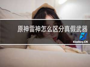 原神雷神怎么区分真假武器
