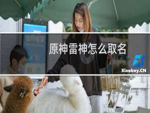 原神雷神怎么取名