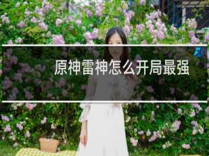 原神雷神怎么开局最强