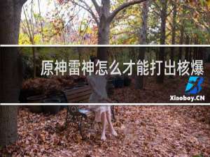 原神雷神怎么才能打出核爆