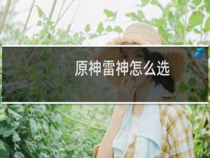 原神雷神怎么选