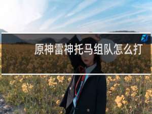 原神雷神托马组队怎么打