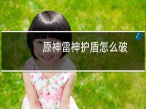 原神雷神护盾怎么破