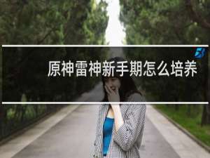 原神雷神新手期怎么培养