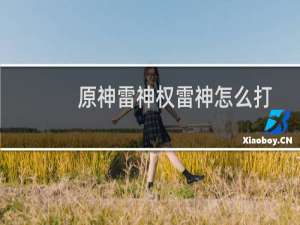 原神雷神权雷神怎么打