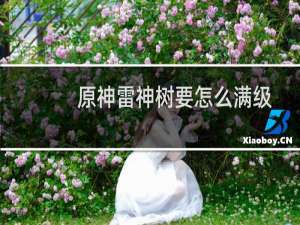 原神雷神树要怎么满级