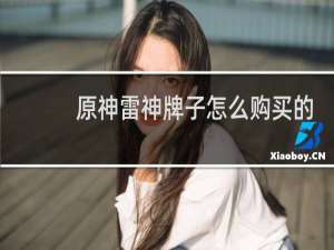 原神雷神牌子怎么购买的