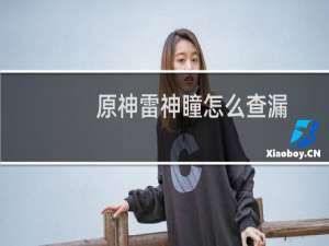 原神雷神瞳怎么查漏