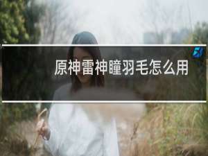 原神雷神瞳羽毛怎么用