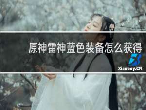 原神雷神蓝色装备怎么获得