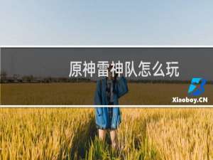 原神雷神队怎么玩