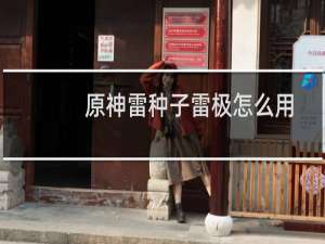 原神雷种子雷极怎么用