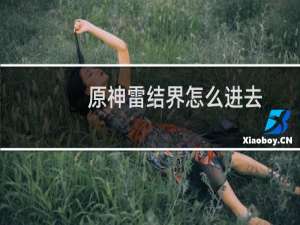 原神雷结界怎么进去