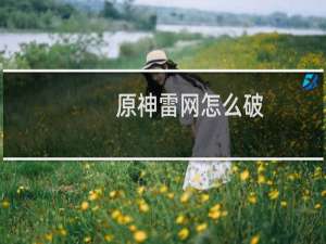 原神雷网怎么破