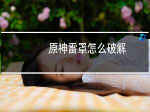 原神雷罩怎么破解
