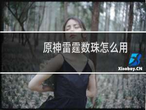 原神雷霆数珠怎么用