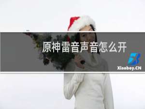 原神雷音声音怎么开