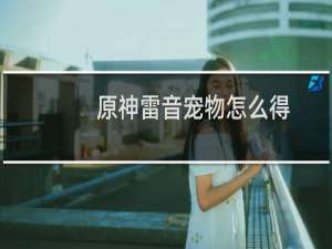 原神雷音宠物怎么得