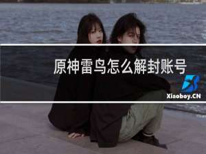 原神雷鸟怎么解封账号