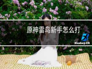 原神雷鸟新手怎么打