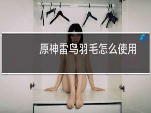 原神雷鸟羽毛怎么使用
