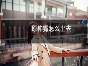 原神雾怎么出去
