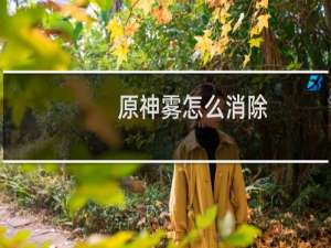 原神雾怎么消除