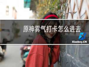 原神雾气打卡怎么进去