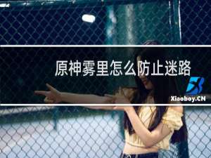 原神雾里怎么防止迷路