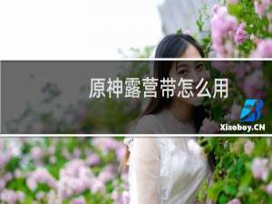 原神露营带怎么用
