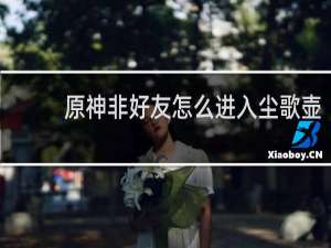 原神非好友怎么进入尘歌壶