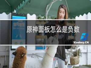 原神面板怎么是负数