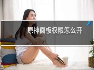 原神面板权限怎么开