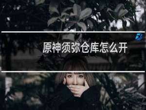 原神须弥仓库怎么开