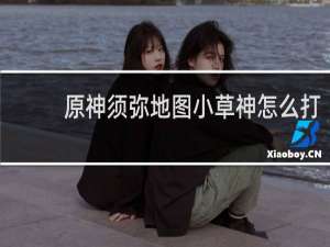 原神须弥地图小草神怎么打
