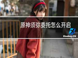 原神须弥委托怎么开启