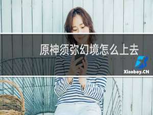 原神须弥幻境怎么上去