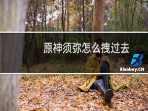 原神须弥怎么拽过去