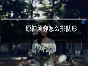 原神须弥怎么排队形