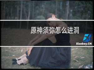 原神须弥怎么进洞