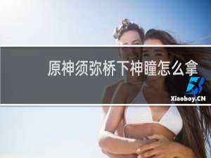 原神须弥桥下神瞳怎么拿