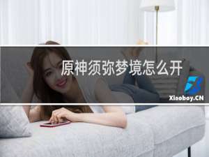 原神须弥梦境怎么开