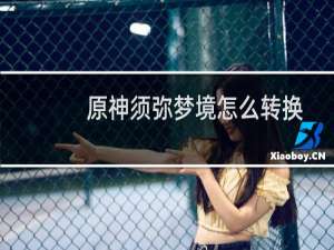 原神须弥梦境怎么转换