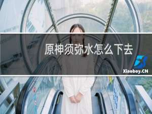 原神须弥水怎么下去