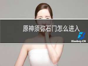 原神须弥石门怎么进入