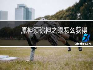 原神须弥神之眼怎么获得