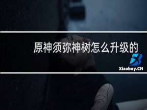 原神须弥神树怎么升级的