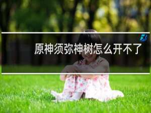 原神须弥神树怎么开不了