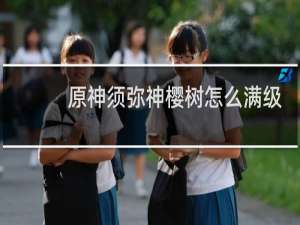 原神须弥神樱树怎么满级