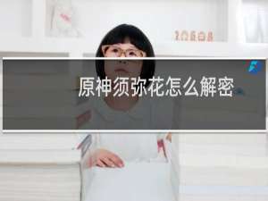 原神须弥花怎么解密